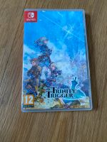 Nintendo Switch, Trinity Trigger Niedersachsen - Hessisch Oldendorf Vorschau