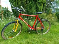 Fahrrad Raleigh Mountainbike Rad Schuppenfund 21 Gang Bastler Sachsen - Adorf-Vogtland Vorschau