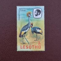 Lesotho Kranich Vogel Ornithologie Tiere #0641 Niedersachsen - Aurich Vorschau