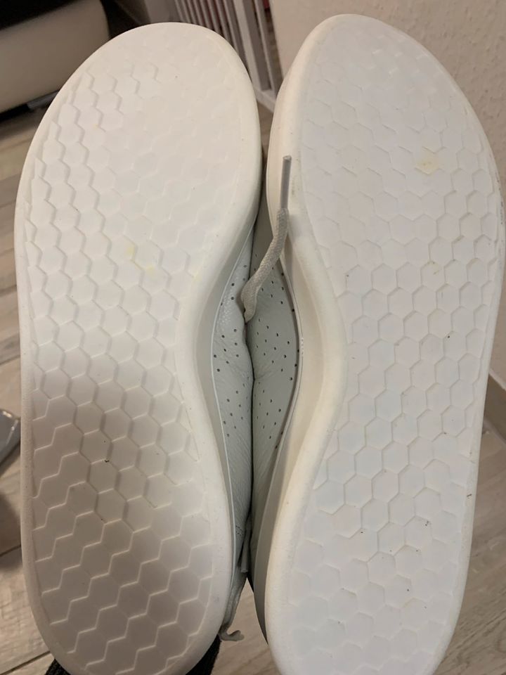 Adidas Schuhe Größe 46 in Köln
