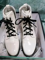 Stiefelette Tom tailor Nordrhein-Westfalen - Krefeld Vorschau