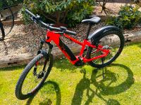 E-Bike / Fahrrad Conway CAIRON S 227 HARDTAIL *wie neu* Nordrhein-Westfalen - Höxter Vorschau