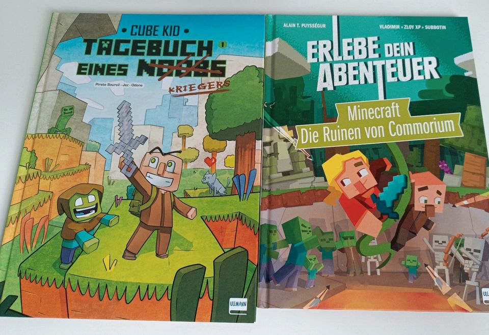 Minecraft Bücher Comics neuwertig in Limburgerhof