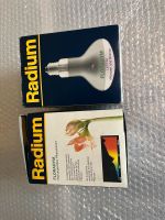 Radium Pflanzenlampe Nordrhein-Westfalen - Kürten Vorschau