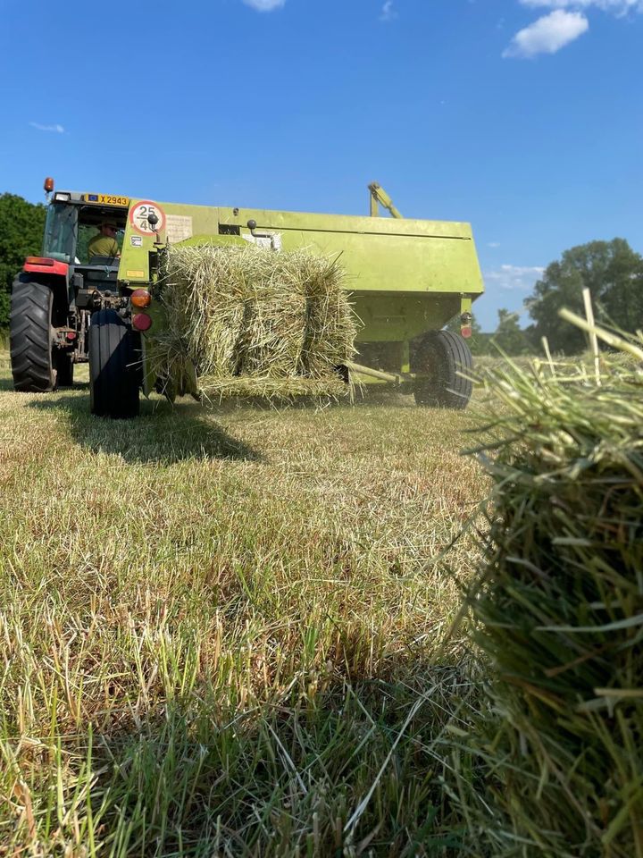 Heu und Stroh in HD- Ballen in Echternacherbrück