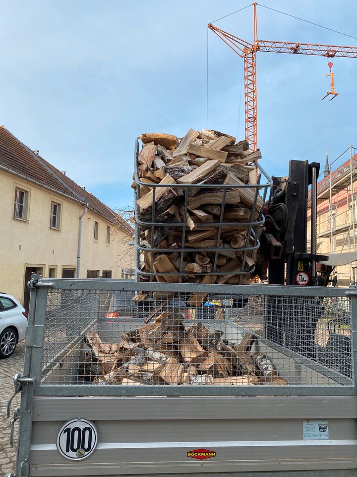 Kaminholz Brennholz Feuerholz Birke 33er Fix&Fertig gespalten in Radeburg