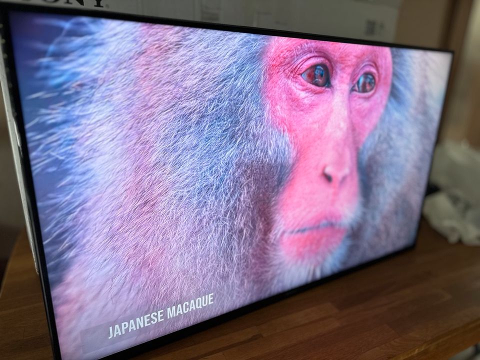 Sony BRAVIA KD-43X85J 4K UHD 120HZ PS5 in Lügde