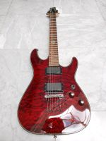 Schecter Damien Elite / EMG / Diamond Series Baden-Württemberg - Igersheim Vorschau