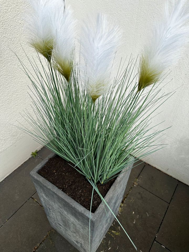 Blumentopf 70cm +mit Pflanze 130 cm in Recklinghausen