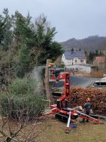 Baumfällung/Baumabtragung aller Art Sachsen - Hainewalde Vorschau