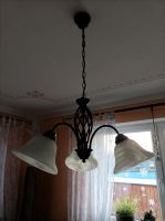 2x Pendelleuchte Lampe Landhausstil leuchten Wohnzimmer Sachsen - Panschwitz-Kuckau Vorschau