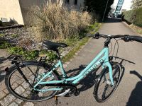 Damen Fahrrad der Marke Solution Cranbrook Neuwertig Stuttgart - Weilimdorf Vorschau