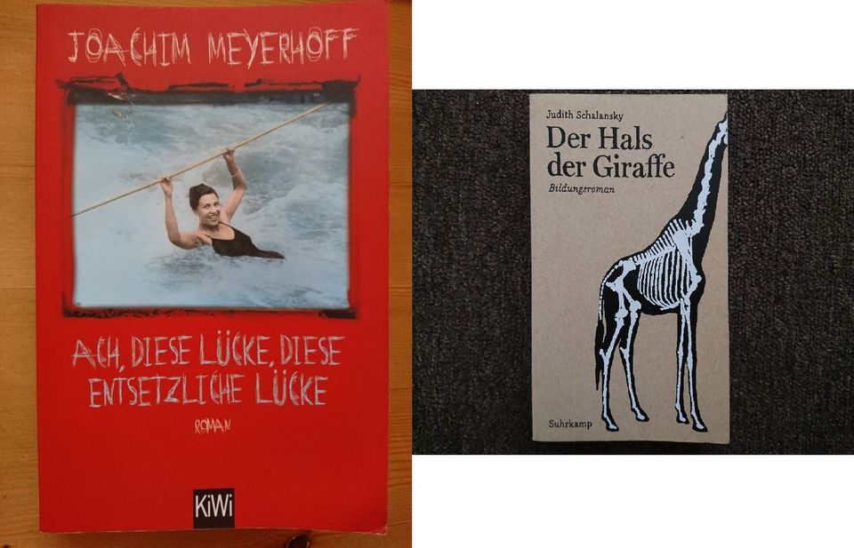 2x Buch Der Hals der Giraffe Schalansky Ach diese Lücke Meyerhoff in Hamburg
