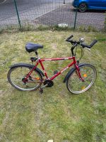 Rotes Rockrider Fahrrad Dortmund - Schüren Vorschau