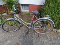 Diamant Damenfahrrad 26 er Sachsen-Anhalt - Salzwedel Vorschau