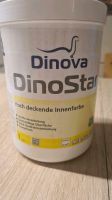 Innenfarbe von Dinova zu verkaufen Nordrhein-Westfalen - Bottrop Vorschau