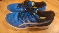 Asics Sportschuhe Hessen - Hofheim am Taunus Vorschau