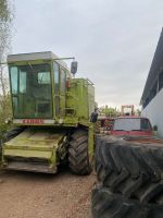 Claas MähdrescherDominator100 mit Schneidwerk Rheinland-Pfalz - Offenbach Vorschau