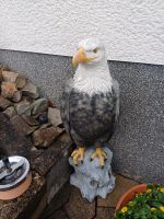 Einen Adler und Erdmännchen Nordrhein-Westfalen - Drolshagen Vorschau