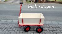 Bollerwagen mit Handbremse Hessen - Solms Vorschau