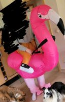 Flamingo Kostüm Fasching Nordrhein-Westfalen - Hilchenbach Vorschau