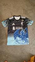 Liverpool Trikot 2x Baden-Württemberg - Pfinztal Vorschau