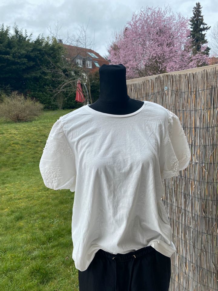 Rolli/Rollkragen/leichte Bluse/strickbluse/große Größen/hm/zara in Hessen -  Wiesbaden | eBay Kleinanzeigen ist jetzt Kleinanzeigen