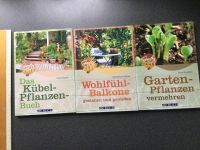 Bücherkonvolut: Garten/Balkon/Kübel (NEU aus AVBuch Verlag) Schleswig-Holstein - Witzhave Vorschau