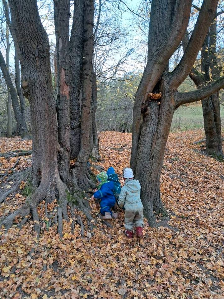 Tagesmutter/Kindertagespflege/Naturpädagoge in Jena