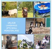30% LAST MINUTE‼️27.6-29.6Urlaub auf dem Bauernhof 2-4P Nordrhein-Westfalen - Mettingen Vorschau