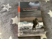 Taschenbuch „ Der Schimmelreiter „ Theodor Storm Bayern - Traunstein Vorschau