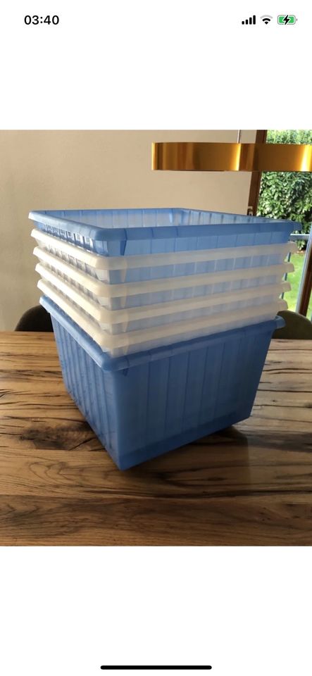 6x IKEA VESSLA blau + Transparent Kisten Boxen in Kirchseeon