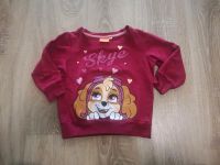 Paw Patrol Skye Pullover / Sweatshirt, Gr. 98 Brandenburg - Schönfließ b Oranienburg Vorschau