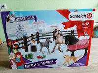 Schleich Horse Club Adventskalender 2019 Rarität NEU OVP Brandenburg - Paulinenaue Vorschau