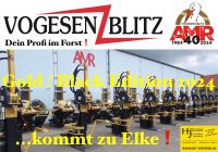 ⚠️ AMR Vogesenblitz® ecoLine 16 Tonnen (stehend) Holz - Spalter Nordrhein-Westfalen - Much Vorschau