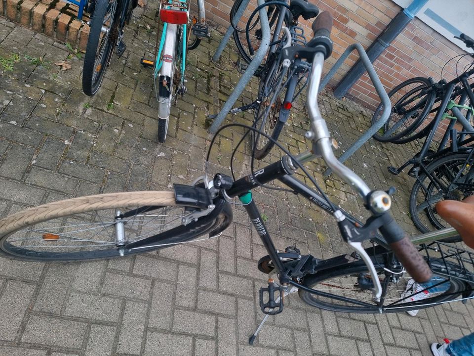 3 × Fahrrad 28 Zoll in Hannover