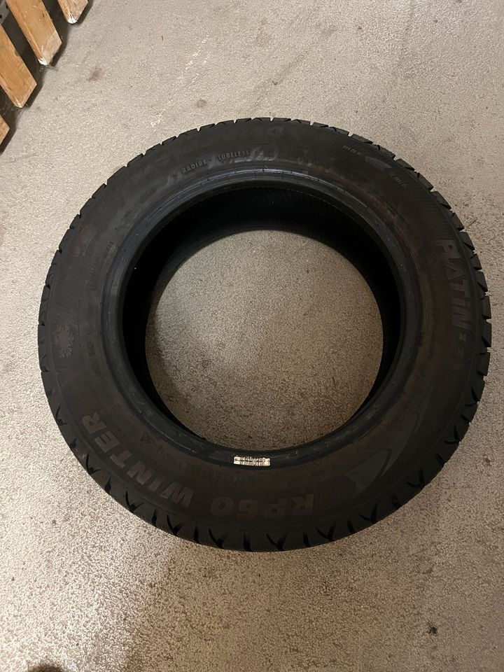 1 Winterreifen Platin RP60 175/65 R14 82 T (wenig gefahren) in Dresden