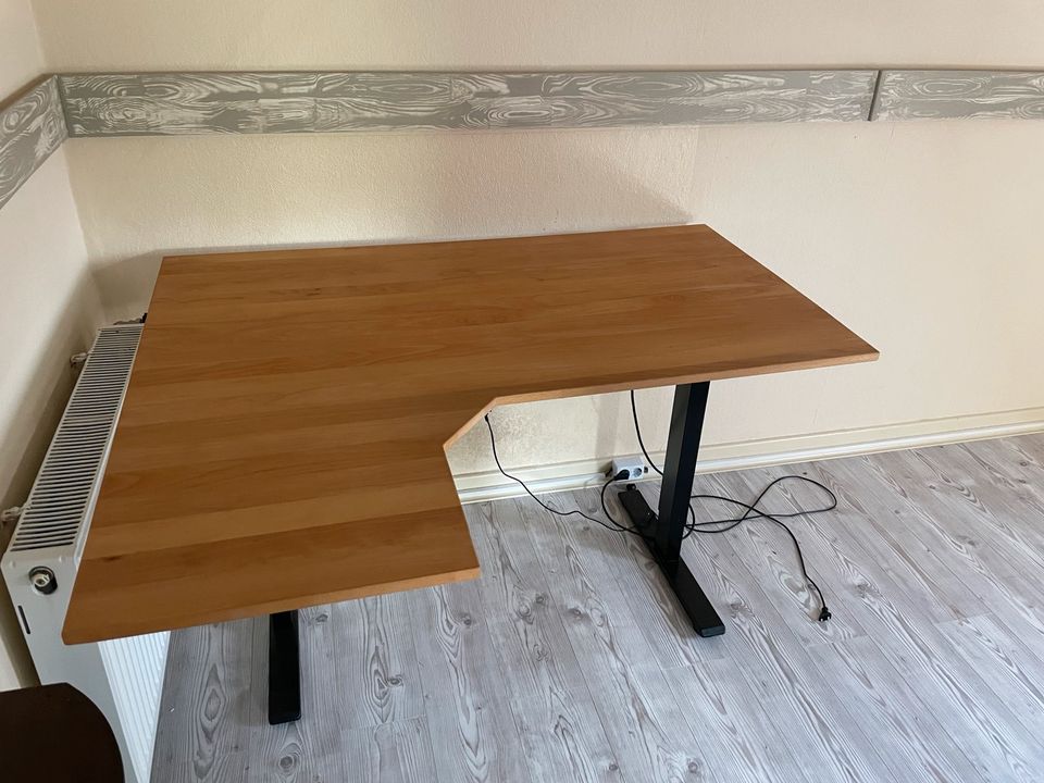 Flexispot, elektr. höhenverstellbarer Schreibtisch, 120cm x 60cm in Fürthen