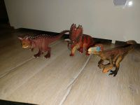 Schleich Dinosaurier Stückpreis Sachsen-Anhalt - Klostermansfeld Vorschau