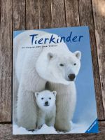 Wunderschönes Tierbuch für Kinder Tierkinder Ravensburger Verlag Bayern - Pullach im Isartal Vorschau