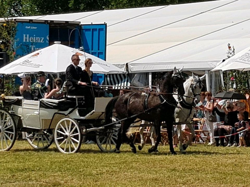 Hochzeitsfahrten, Kommunionsfahrt, Geburtstagsfahrten uvm in Marl