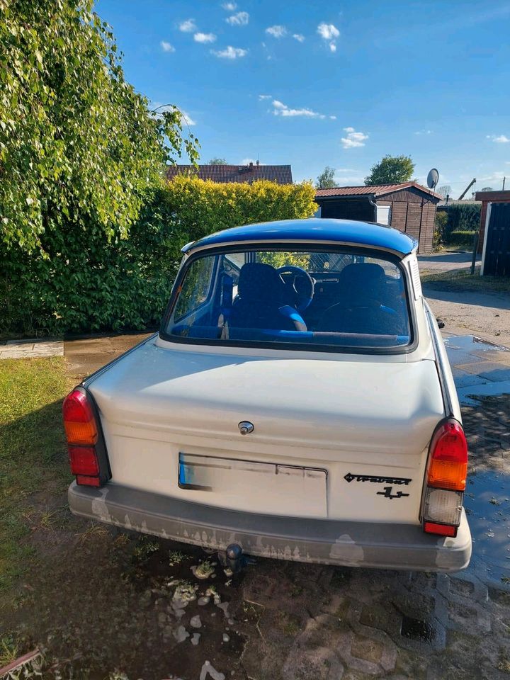 Trabant 1.1 in Ketzin/Havel