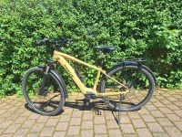 E Bike Focus Aventura 2 6.6 Rheinland-Pfalz - Alzey Vorschau