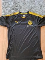 Borussia Dortmund Trainingsshirt Niedersachsen - Estorf Vorschau