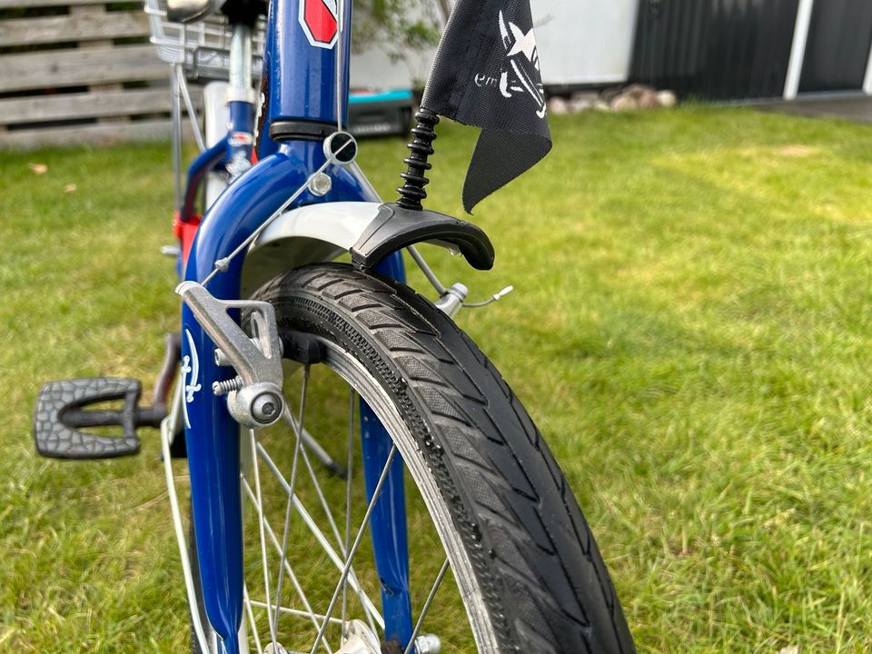 PUKY 18 Zoll Kinderfahrrad Capt‘n Sharky in Thedinghausen