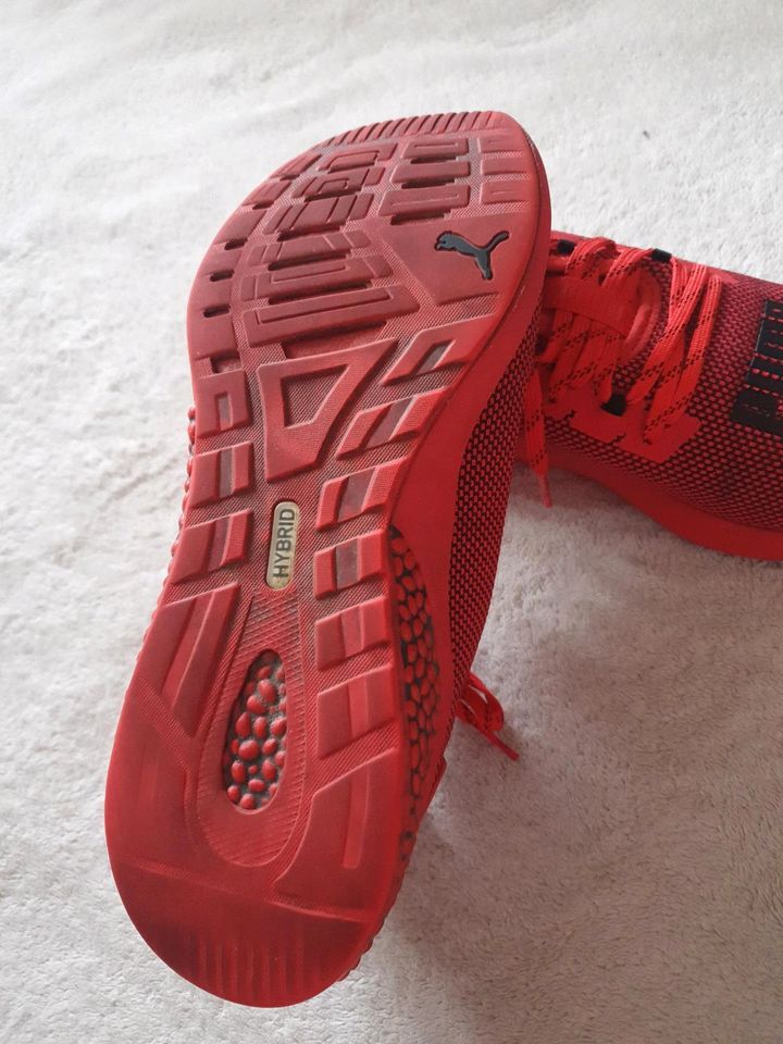 Puma  Turnschuh  in rot gr.40 in Sondershausen