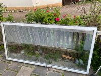 ZU VERSCHENKEN Glastür Glas Tür Bayern - Fürth Vorschau