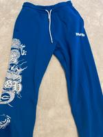 FSBN Jogging Hose Blau Nordrhein-Westfalen - Hamm Vorschau