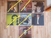 Schallplatten Udo Lindenberg und andere Niedersachsen - Sarstedt Vorschau