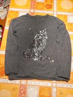 Pullover  mit Glitzer Wolf  Gr.  S Hessen - Wildeck Vorschau
